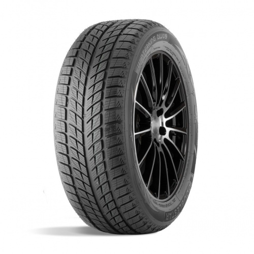 Зимняя шина ДаблСтар 275/40/20 V 106 DW09 XL, фото
