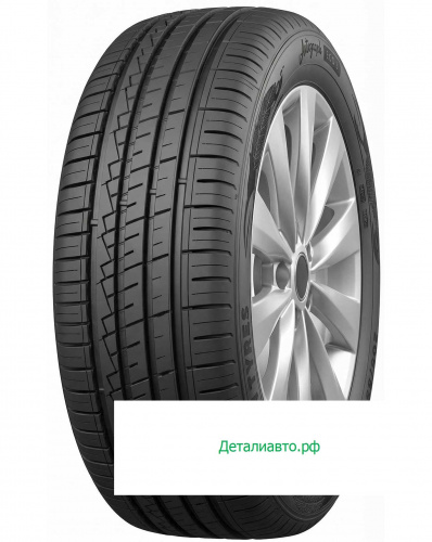 Летняя шина Ikon 215/55 r16 Autograph Eco 3 97V, фото