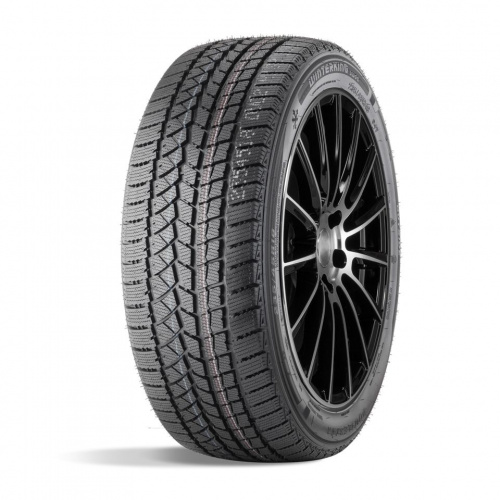 Зимняя шина ДаблСтар 235/65/17 T 108 DW02, фото